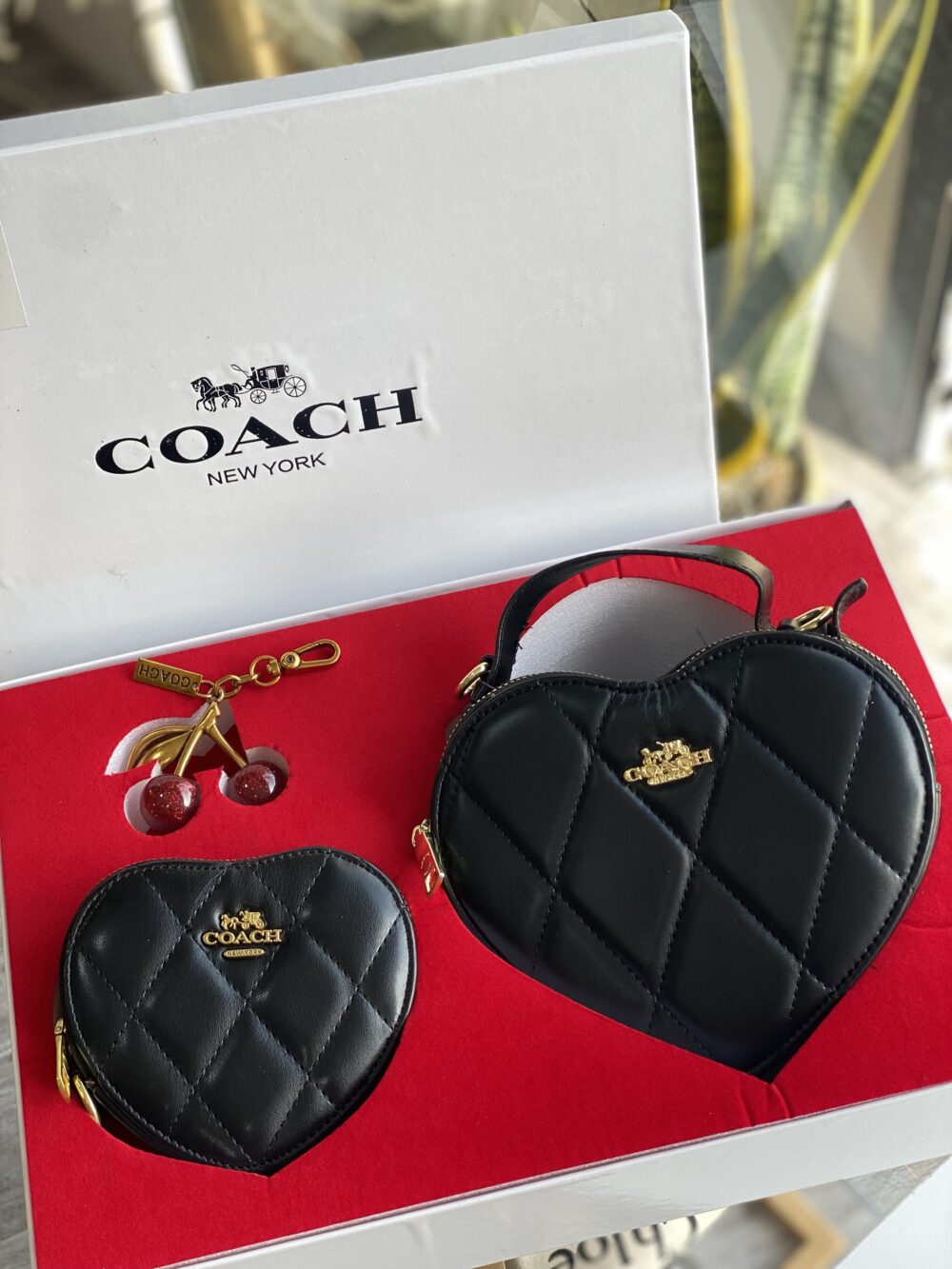Coach set