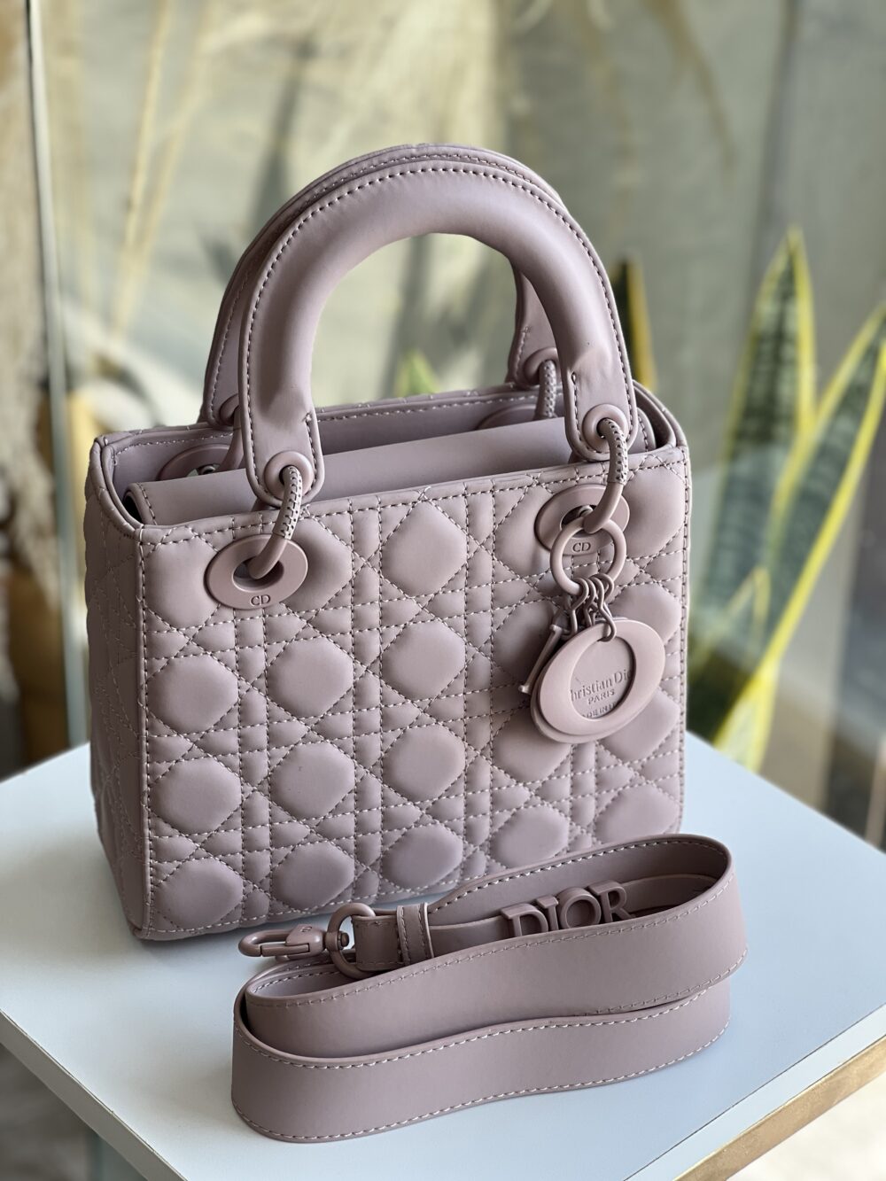 CD ladydior Matte